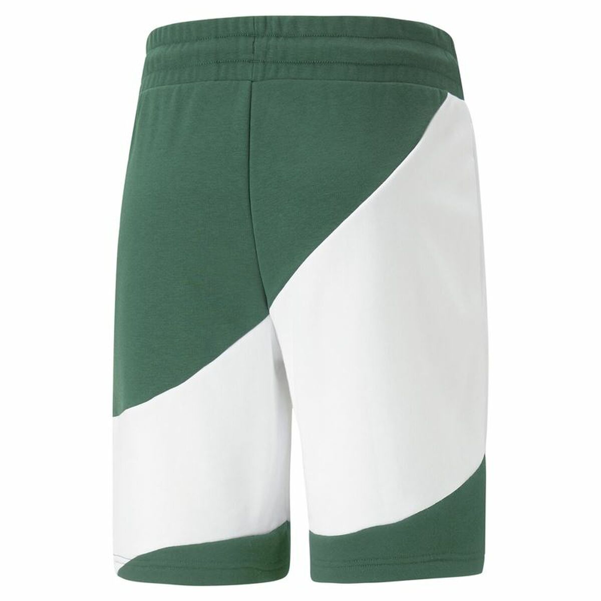 Men’s Sports Shorts Puma Power Cat Green
