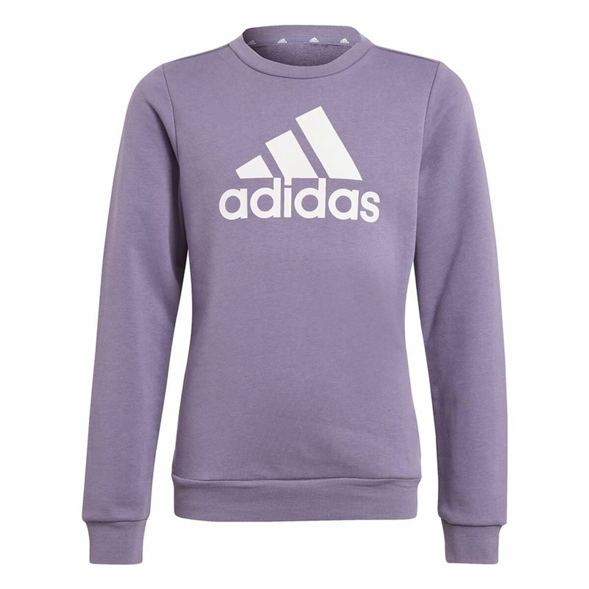 Hoodless Sweatshirt for Girls Adidas G Bl Swt Blue Pink