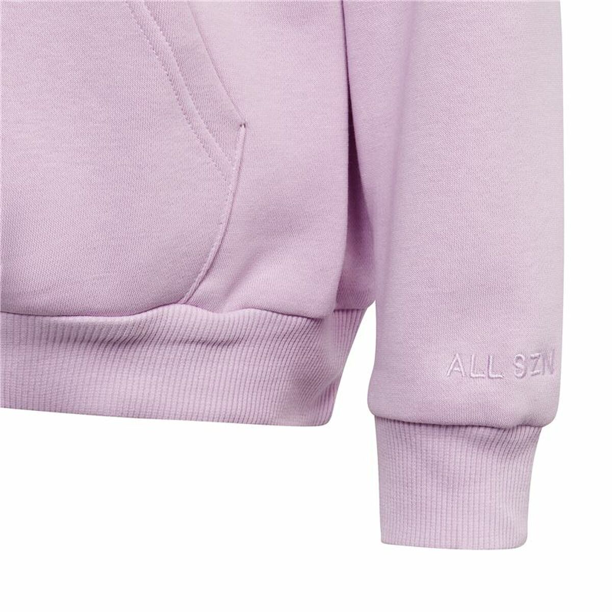Hooded Sweatshirt for Girls Adidas All Szn Hd Pink