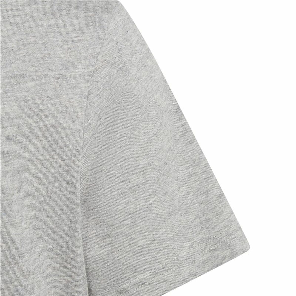 Short Sleeve T-Shirt Adidas Big Logo 2 Grey