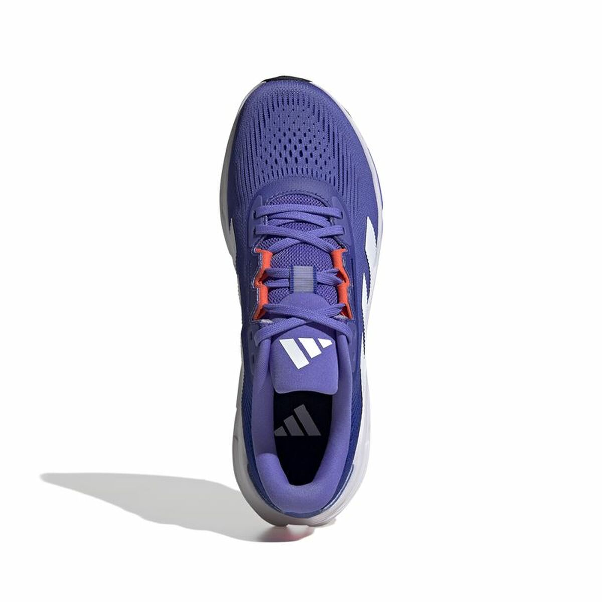 Running Shoes for Adults Adidas Questar 3