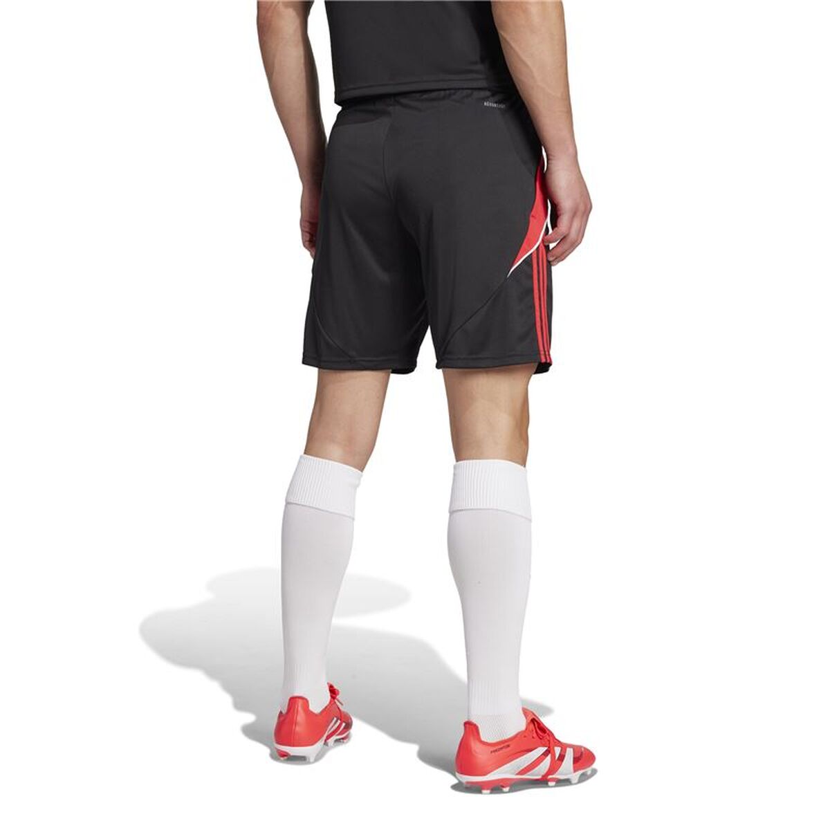 Sports Shorts Adidas Tiro24 Tr