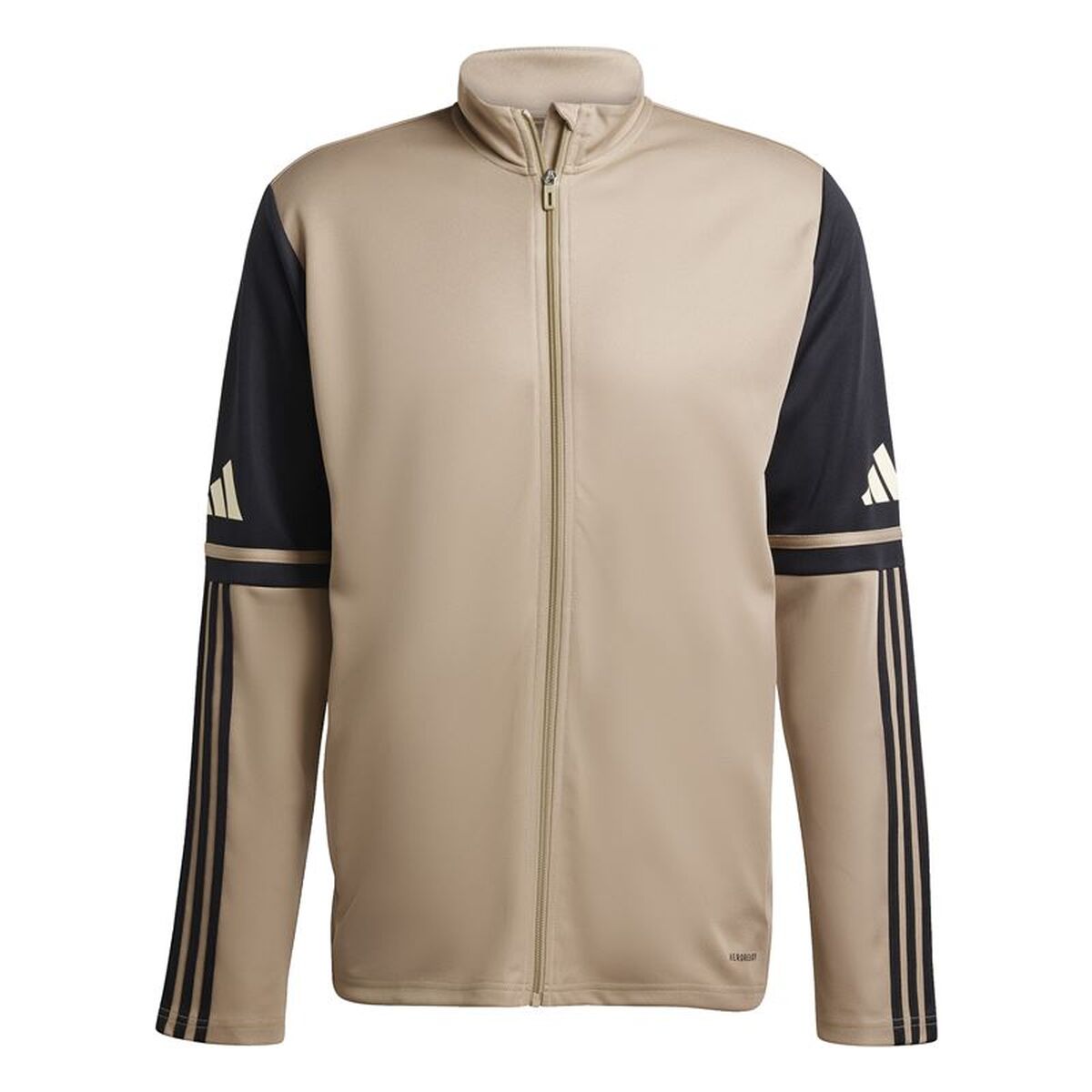 Men’s Sports Jacket Adidas Squadra25 Beige Football
