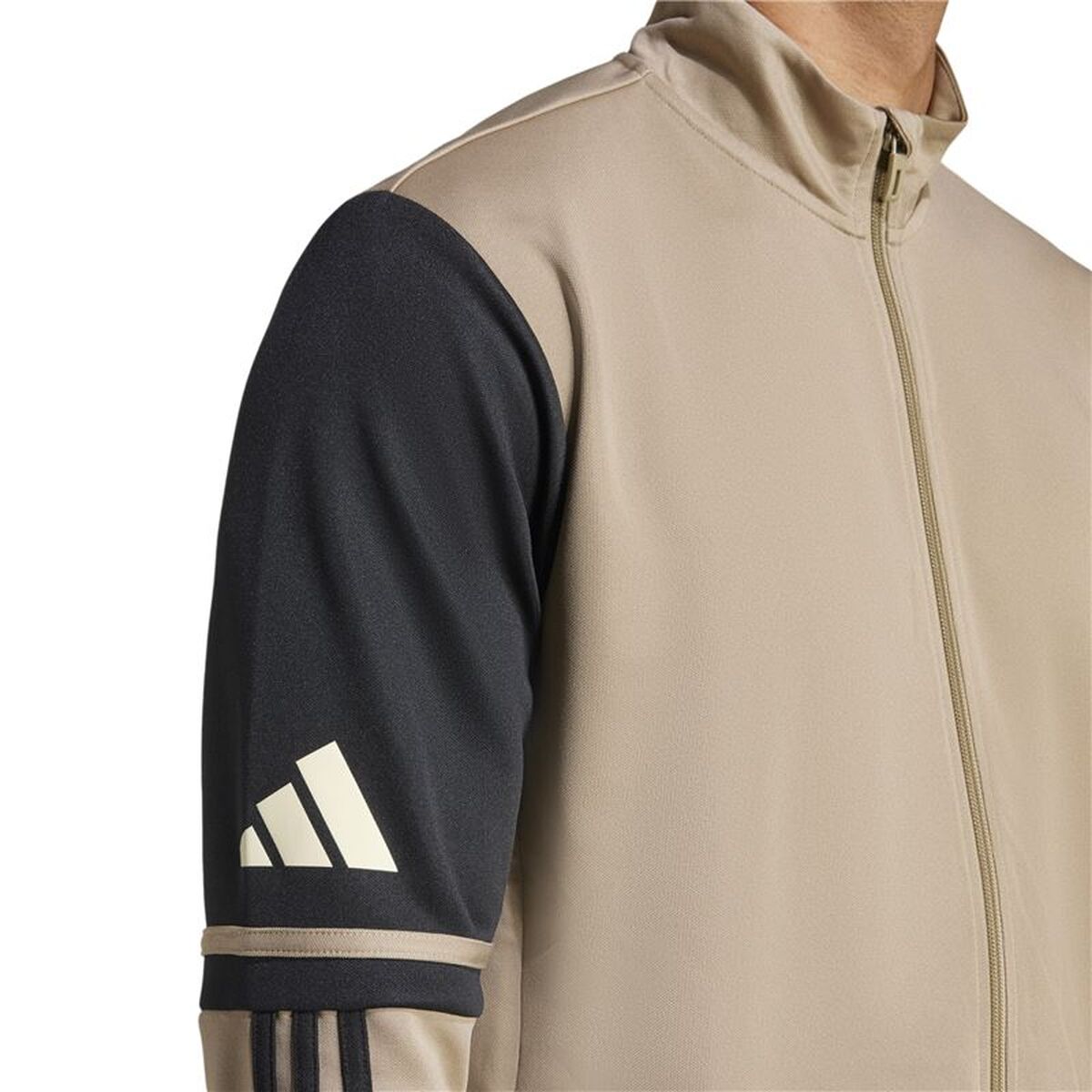 Men’s Sports Jacket Adidas Squadra25 Beige Football