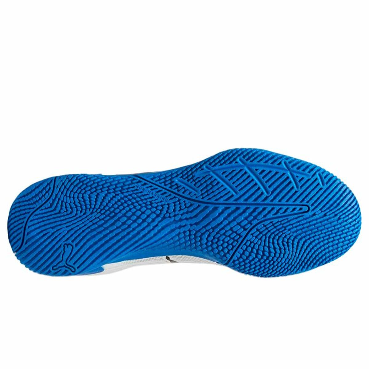 Adult’s Indoor Football Shoes Puma Truco III Blue