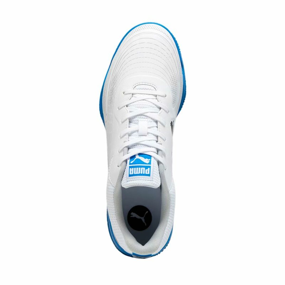 Adult’s Indoor Football Shoes Puma Truco III Blue