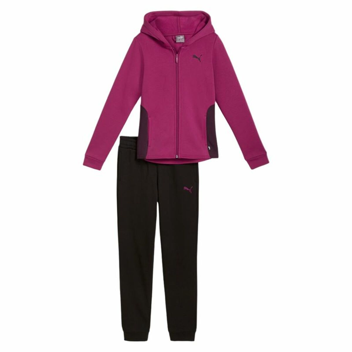 Children’s Sports Outfit Puma Hooded Fl Cl