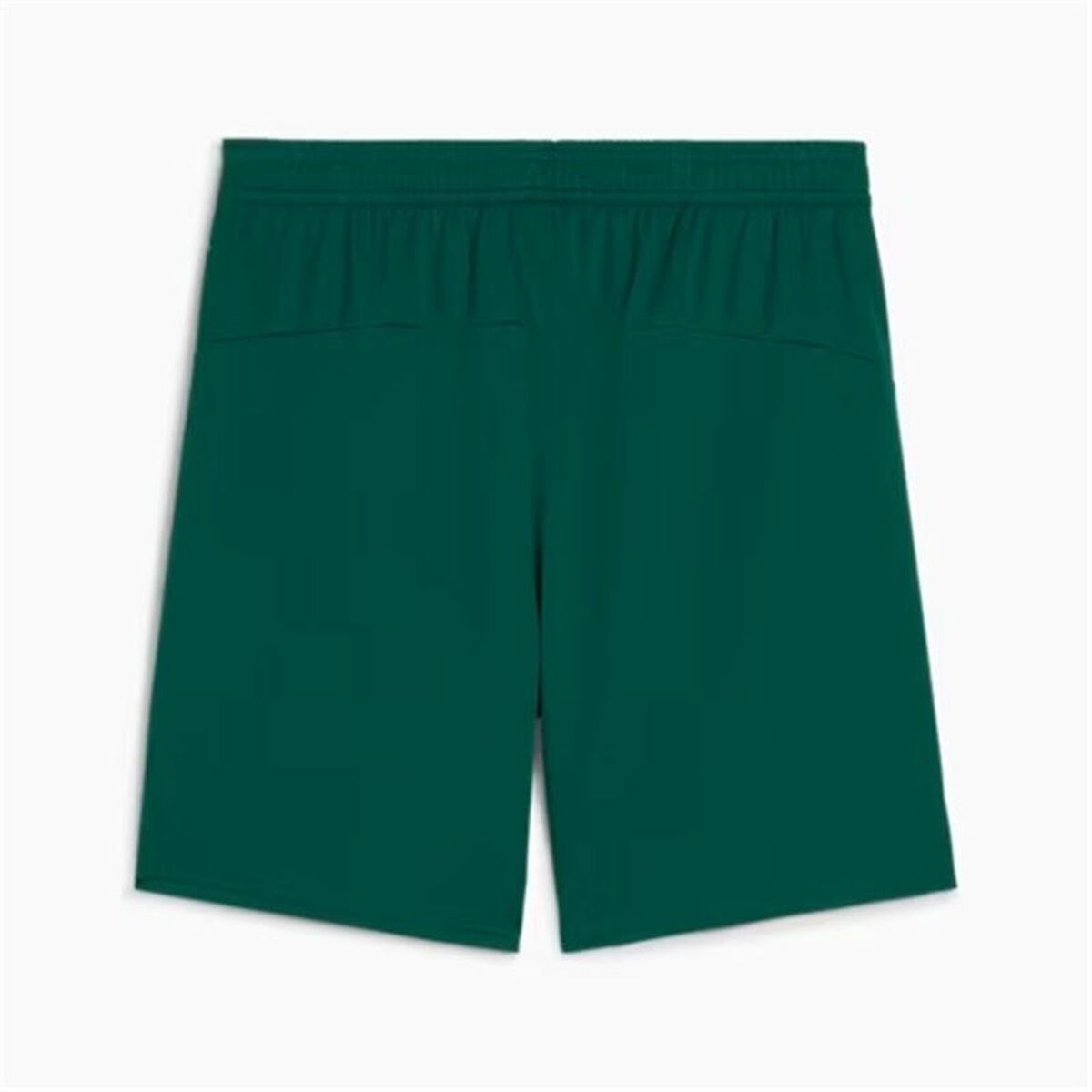 Football Training Trousers for Adults Puma Portugal Green Olive Men