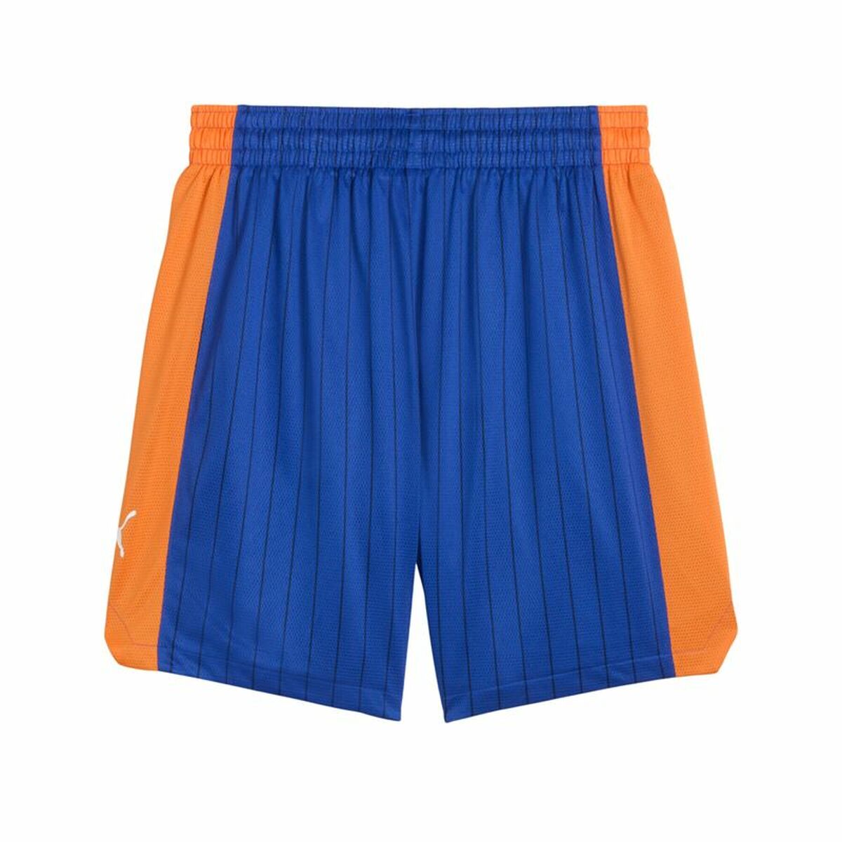 Men’s Basketball Shorts Puma Rival Rage Heritage