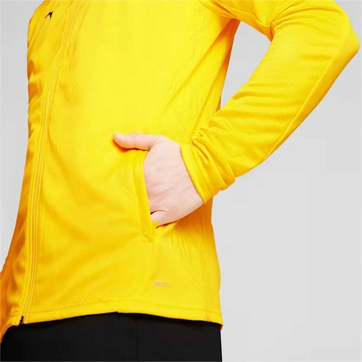 Men’s Sports Jacket Puma Borussia Dortmund Yellow