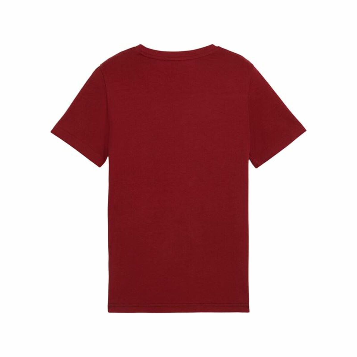 Child’s Short Sleeve T-Shirt Puma Ess Block