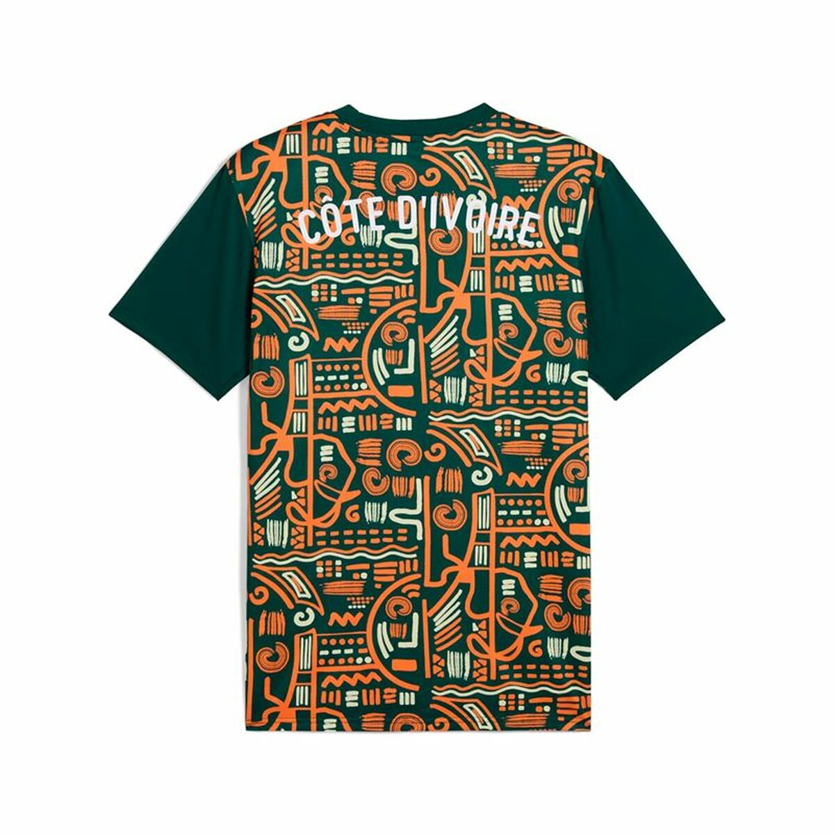 Men’s Short-sleeved Football Shirt Puma Cote d’Ivore Prematch Ss Green