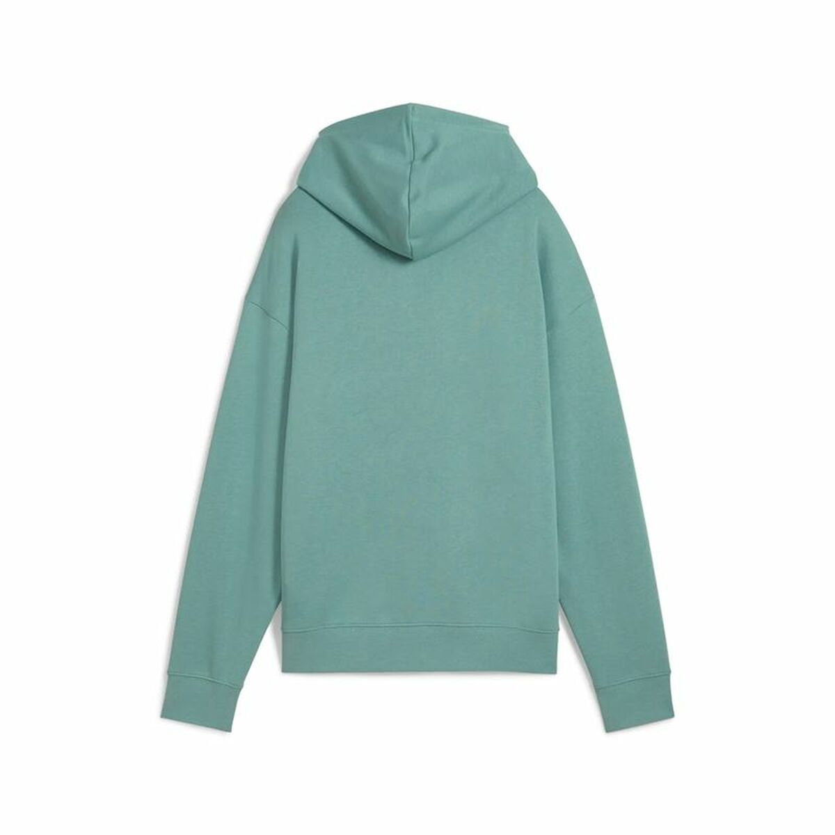 Womens Hoodie Puma Puma Essentials Script Comfort H Blue Green