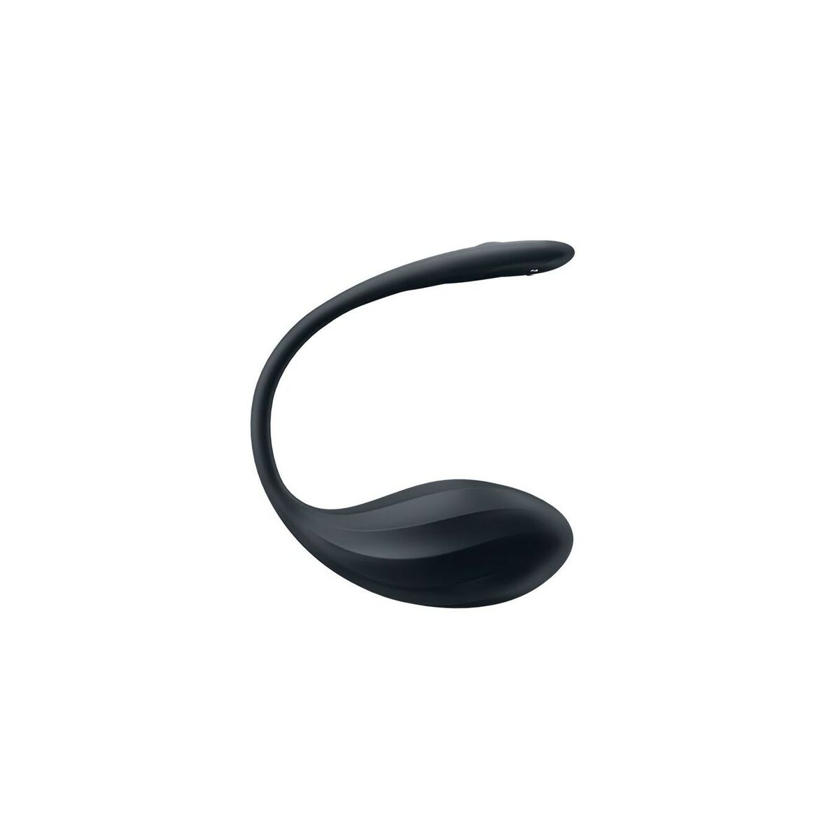 Webcam Satisfyer Black Webcam Satisfyer Black