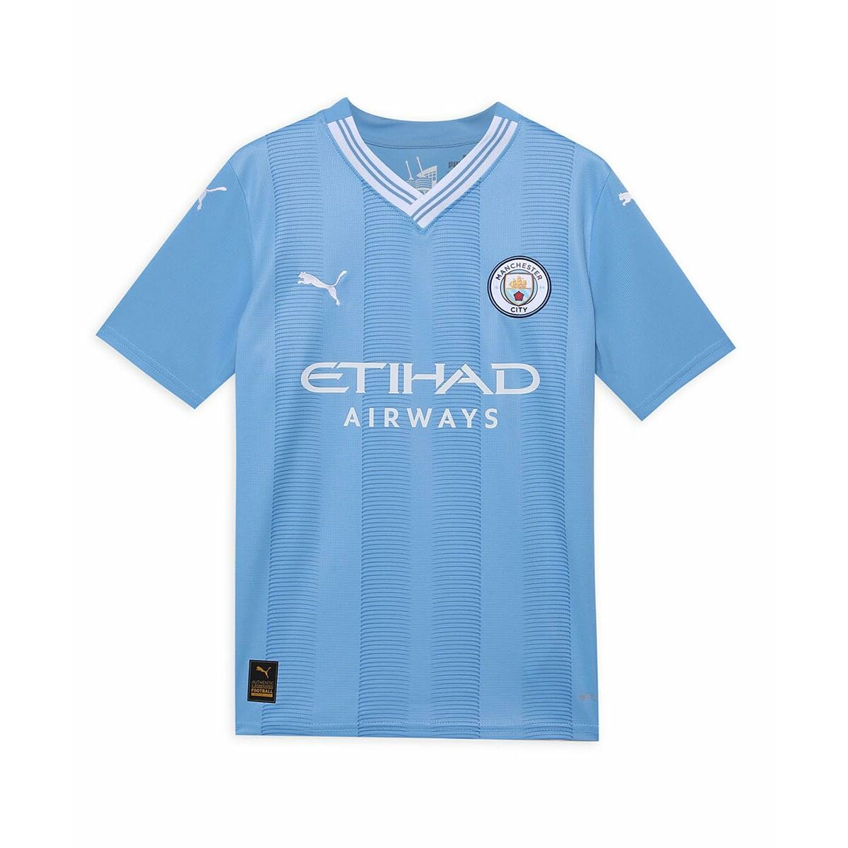 Children’s Short Sleeved Football Shirt Puma
