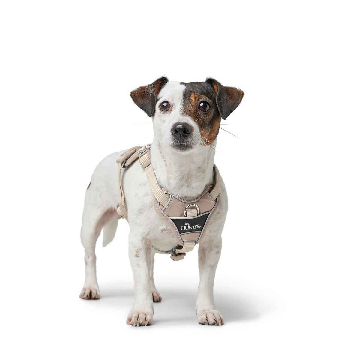 Dog Harness Hunter DIVO UP Beige L/XL
