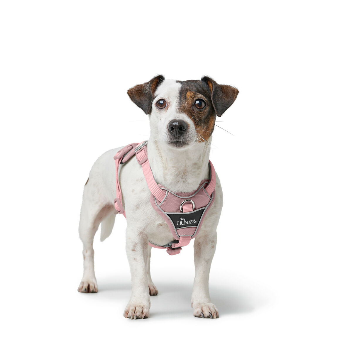 Dog Harness Hunter DIVO UP Pink L