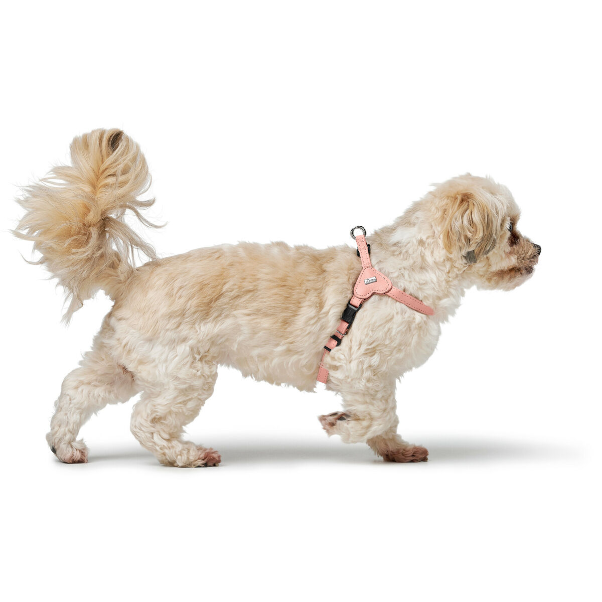 Dog Harness Hunter SOHO MINI Pink XS/S