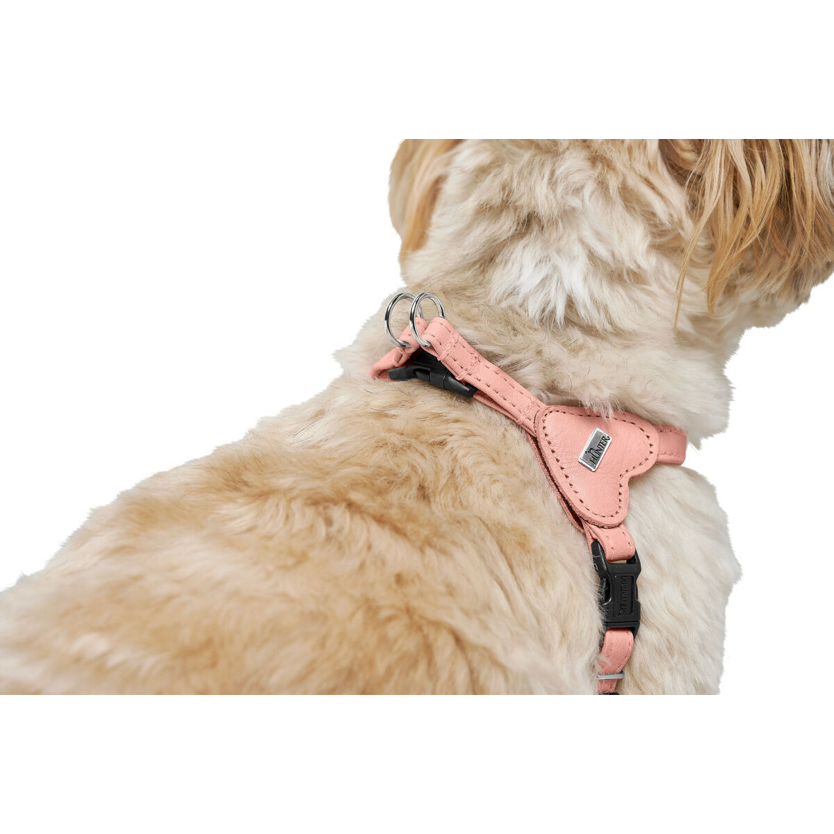 Dog Harness Hunter SOHO MINI Pink XS/S