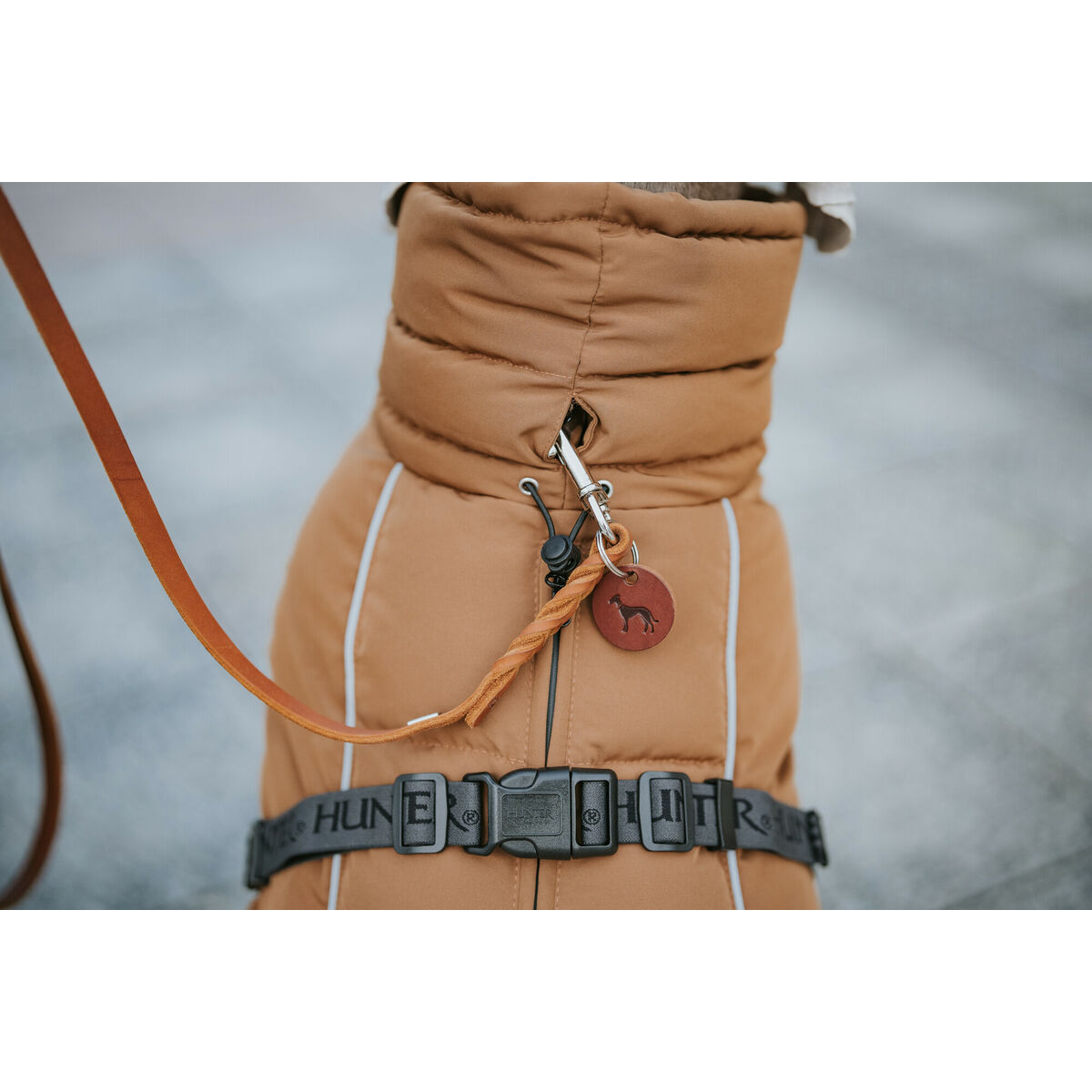 Pet’s clothing Hunter PAXSON Brown Polyester