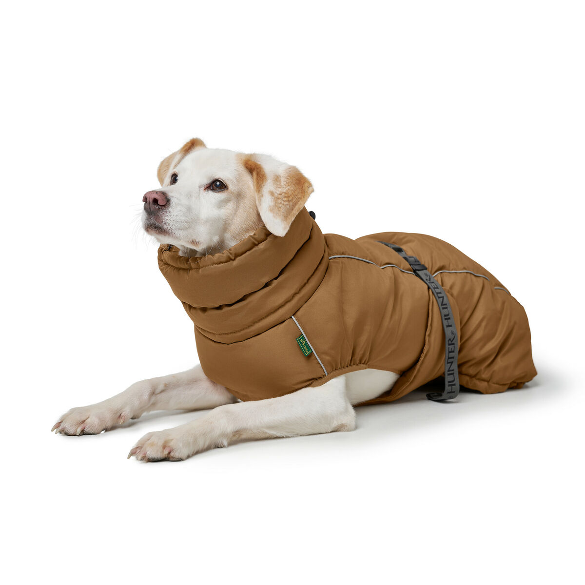 Pet’s clothing Hunter PAXSON Brown Polyester