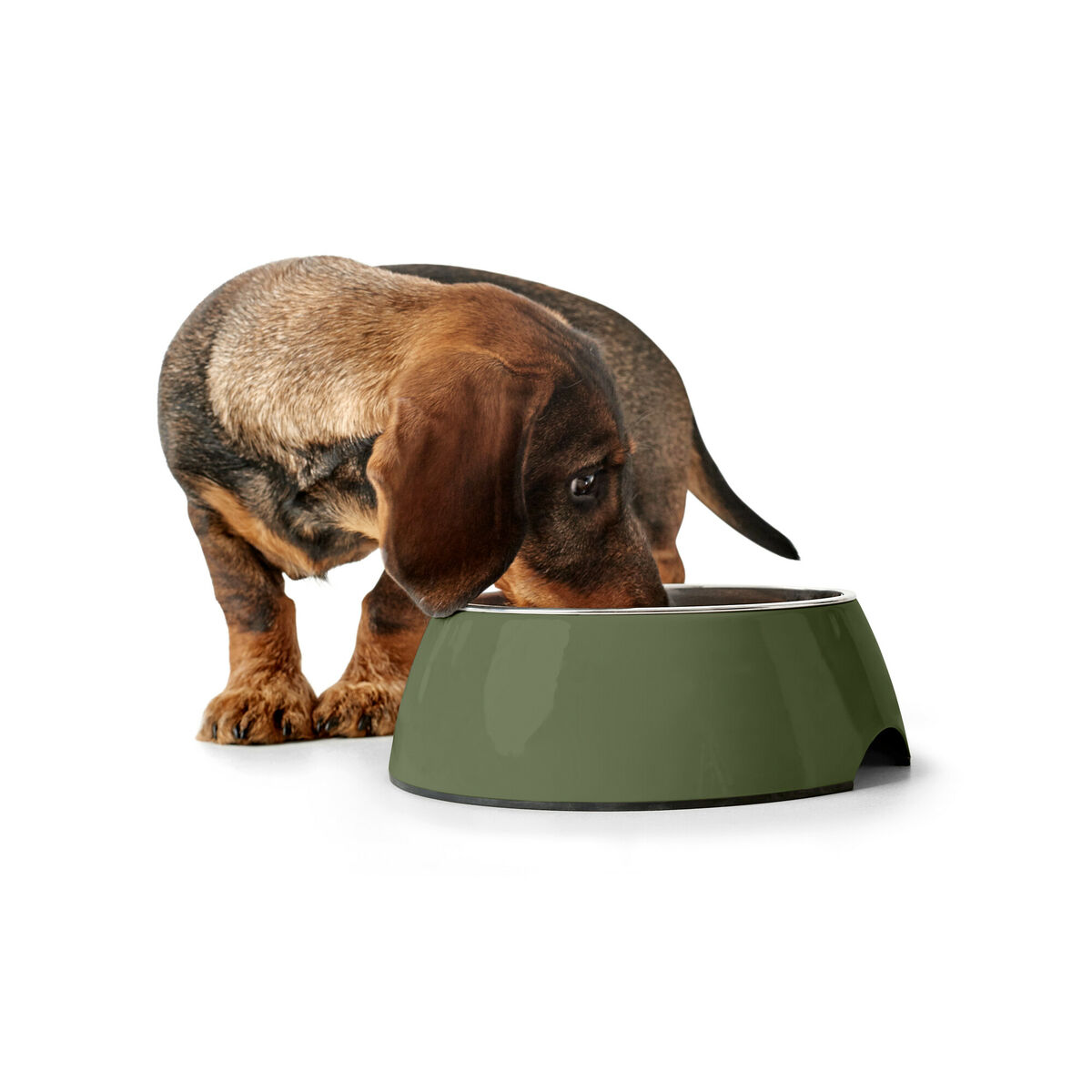 Dog Feeder Hunter Green 350 ml