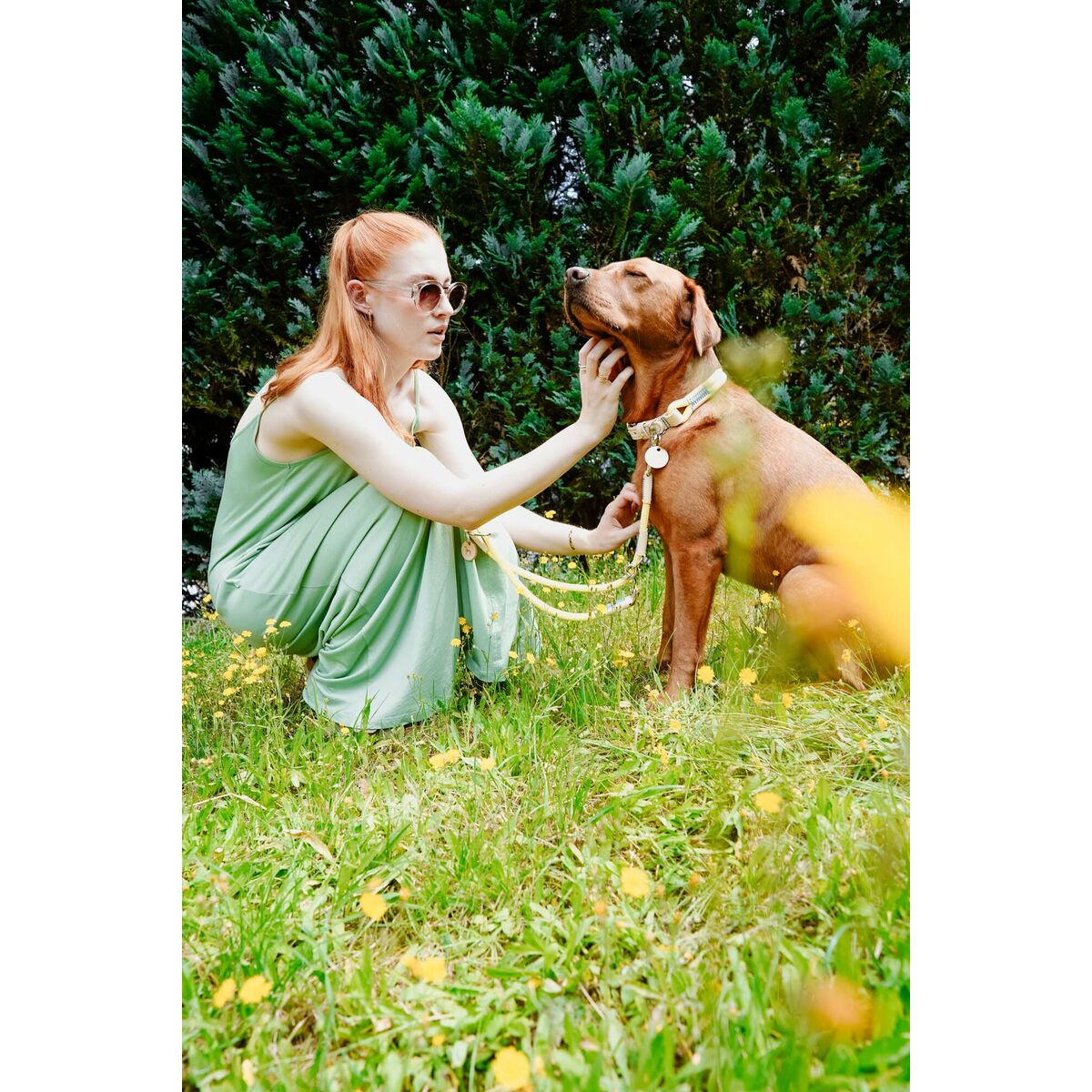 Dog collar Hunter Malia Lime S/M 35-44 cm