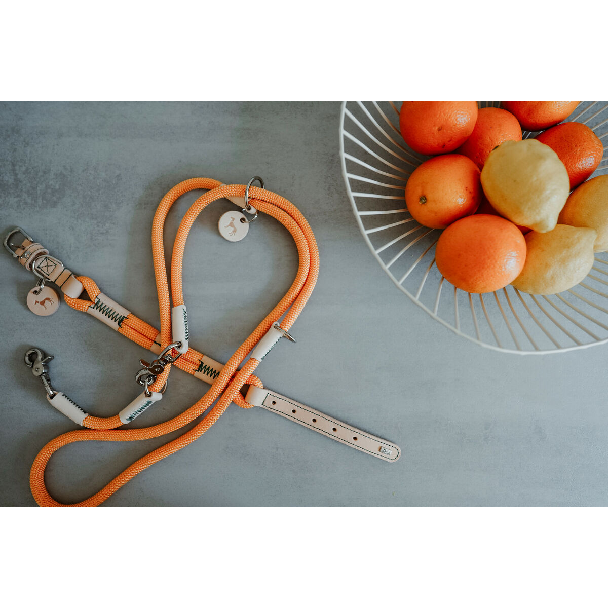 Dog collar Hunter Malia Orange L 50-59 cm