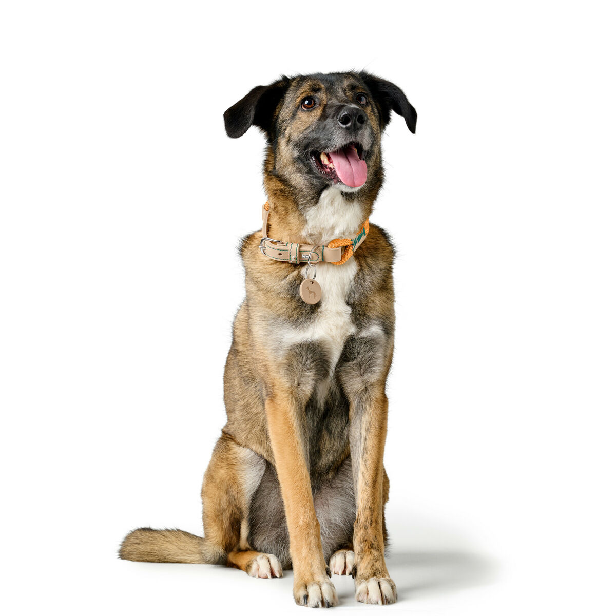 Dog collar Hunter Malia Orange L 50-59 cm