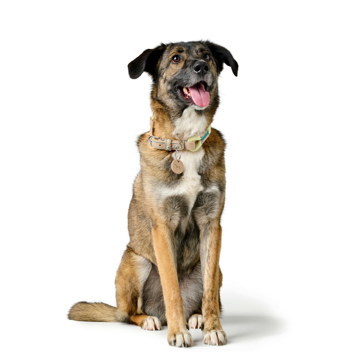 Dog collar Hunter MALIA Green L 50-59 cm