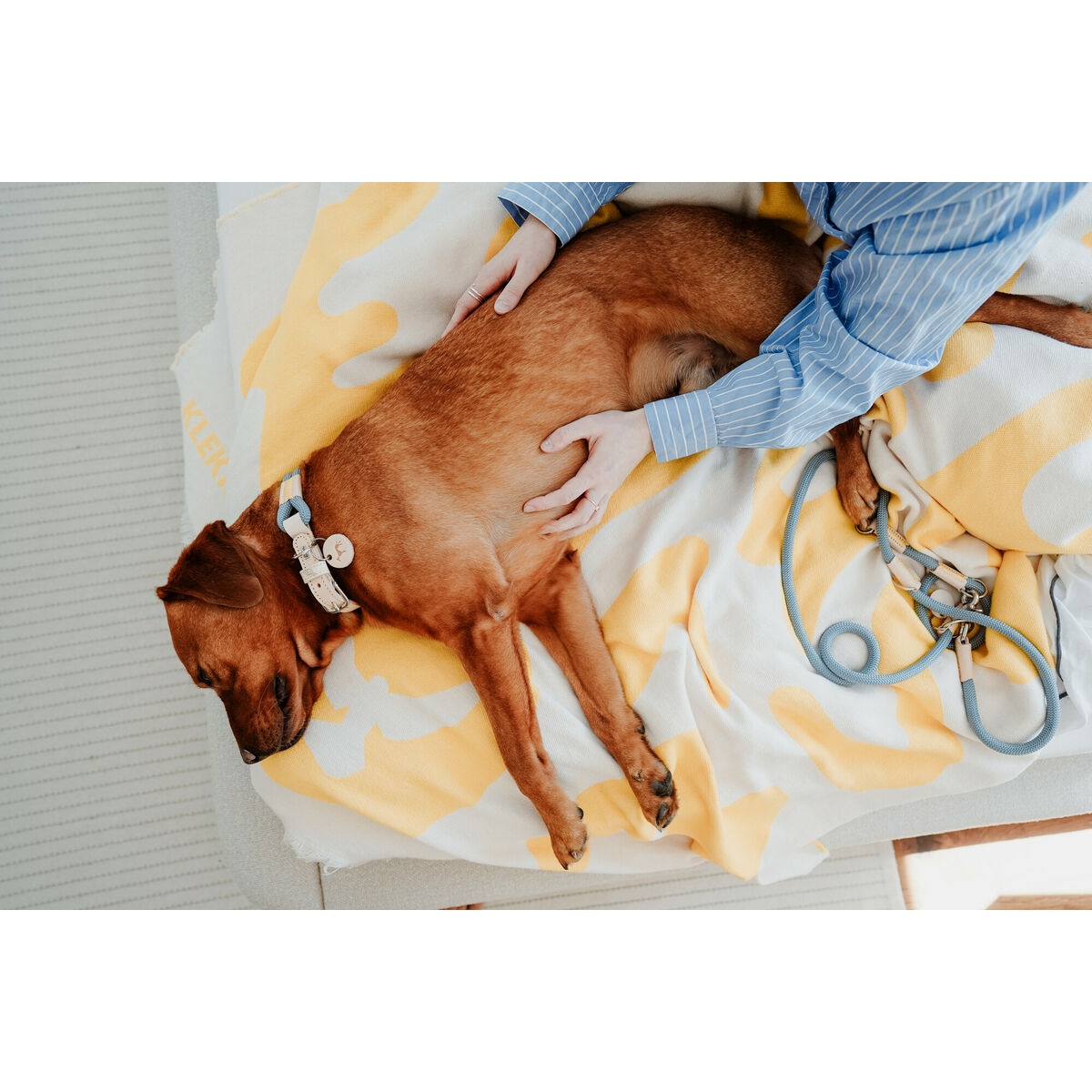 Dog collar Hunter Malia Blue L 50-59 cm