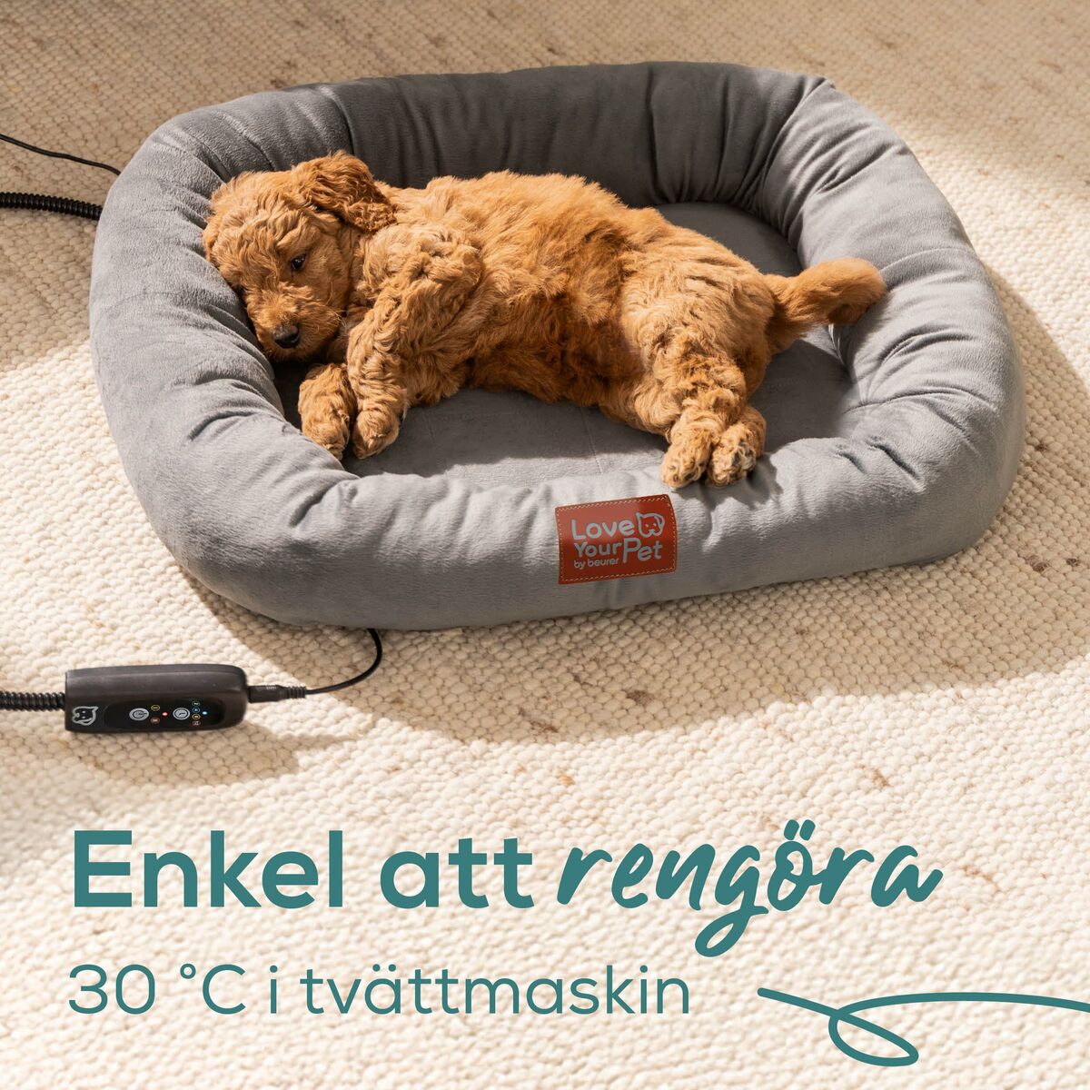 Jet Wash Beurer PP250 KIRA Grey