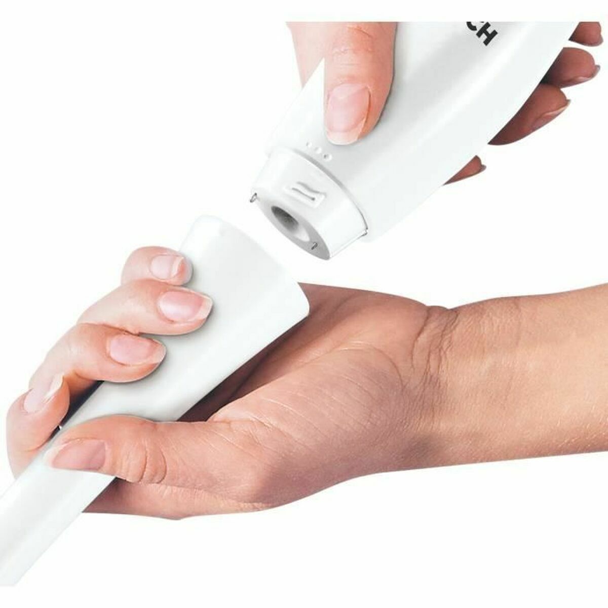 Multifunction Hand Blender with Accessories BOSCH MSMP100 White 350 W