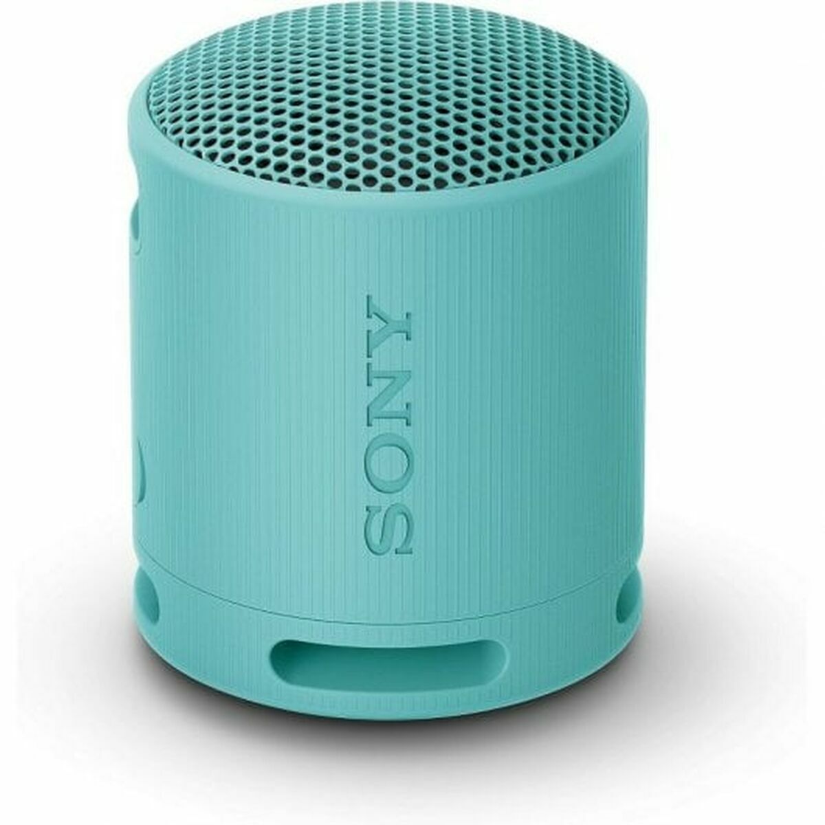 Portable Bluetooth Speakers Sony SRSXB100L Blue Portable Bluetooth Speakers Sony SRSXB100L Blue