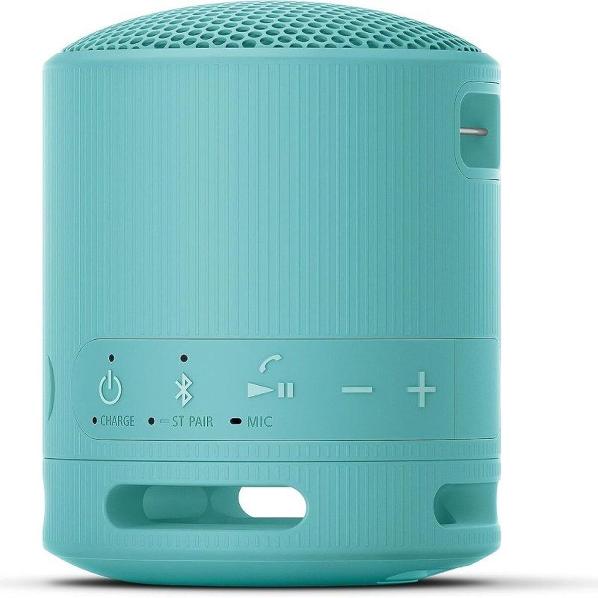 Portable Bluetooth Speakers Sony XB100 Blue
