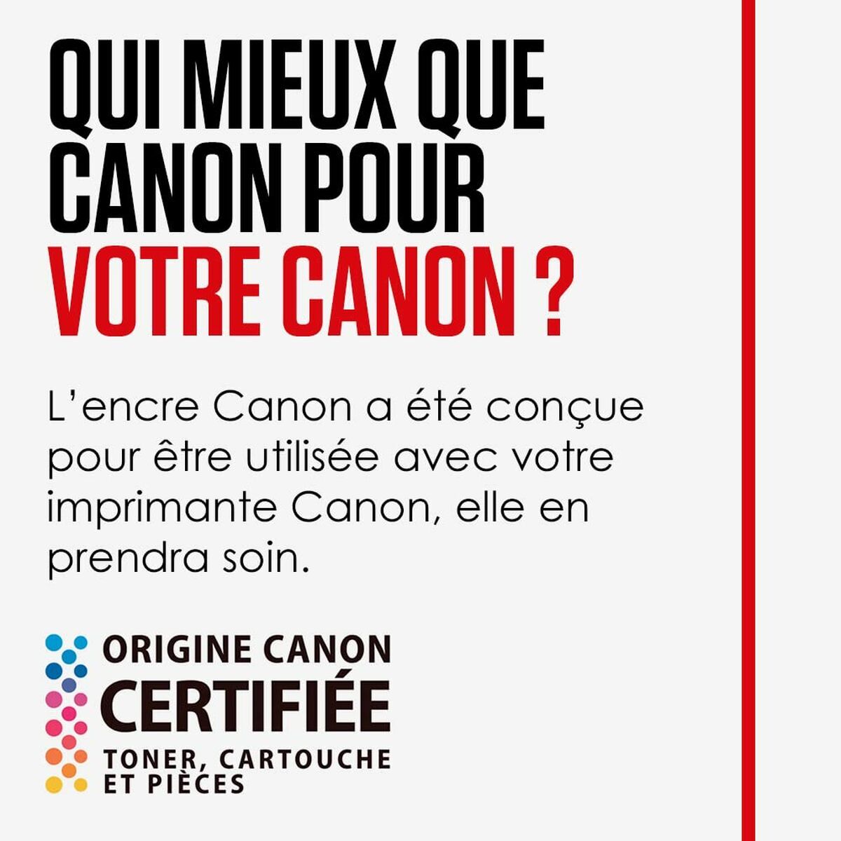 Original Ink Cartridge Canon