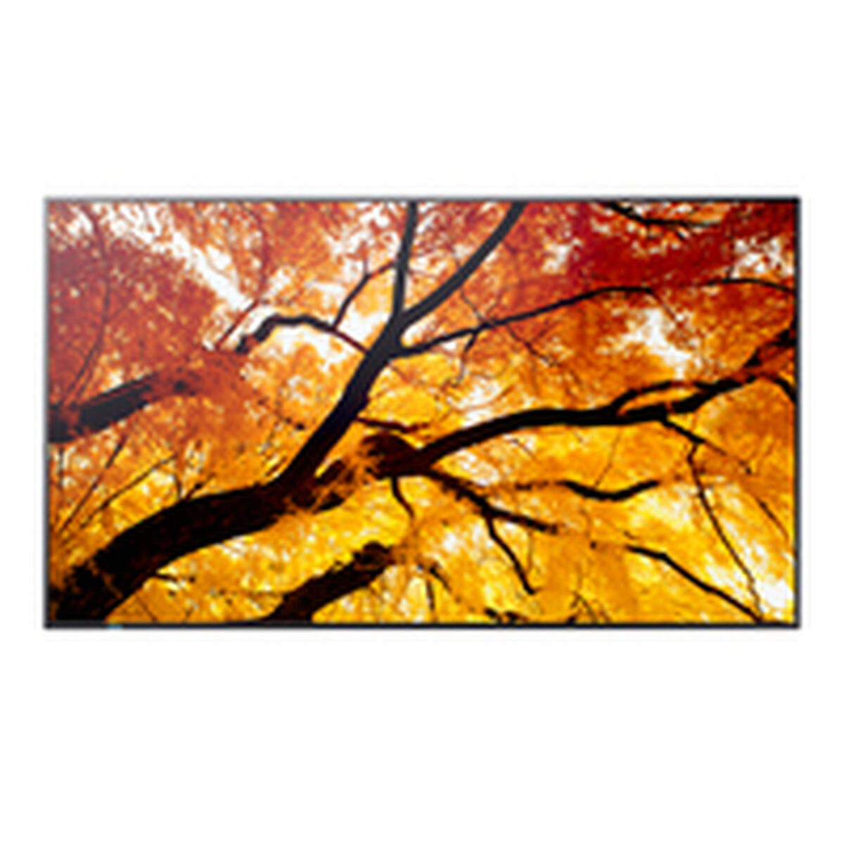 Videowall Monitor Sharp 60006052 Full HD 32″