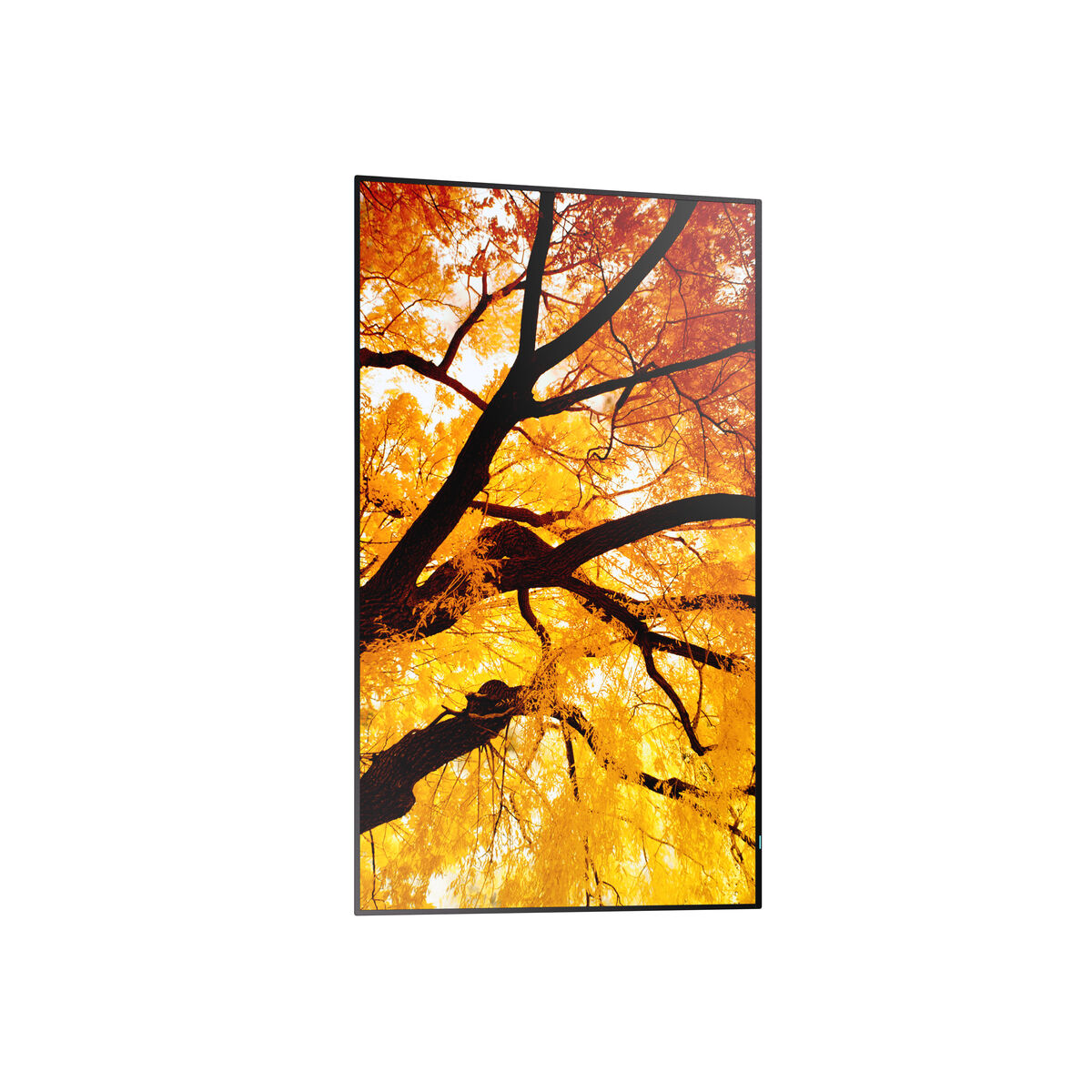 Videowall Monitor Sharp 60006052 Full HD 32″ Videowall Monitor Sharp 60006052 Full HD 32″
