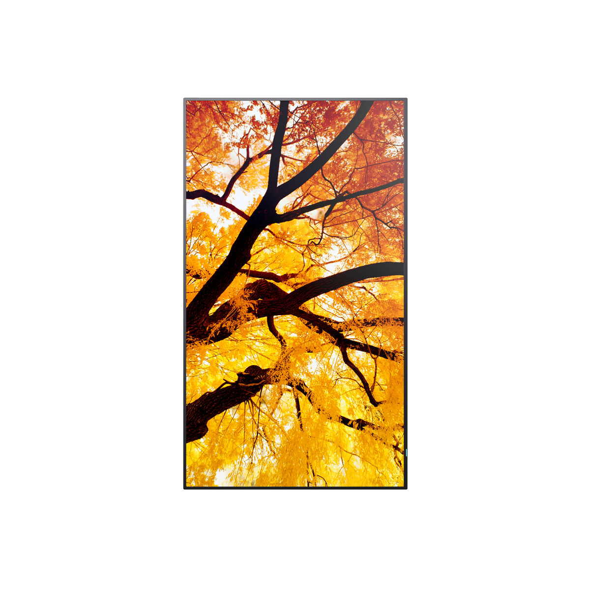 Videowall Monitor Sharp 60006052 Full HD 32″