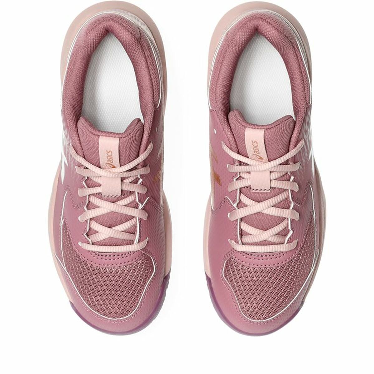 Adult’s Padel Trainers Asics Gel-Dedicate 8 Padel Gs Purple Pink