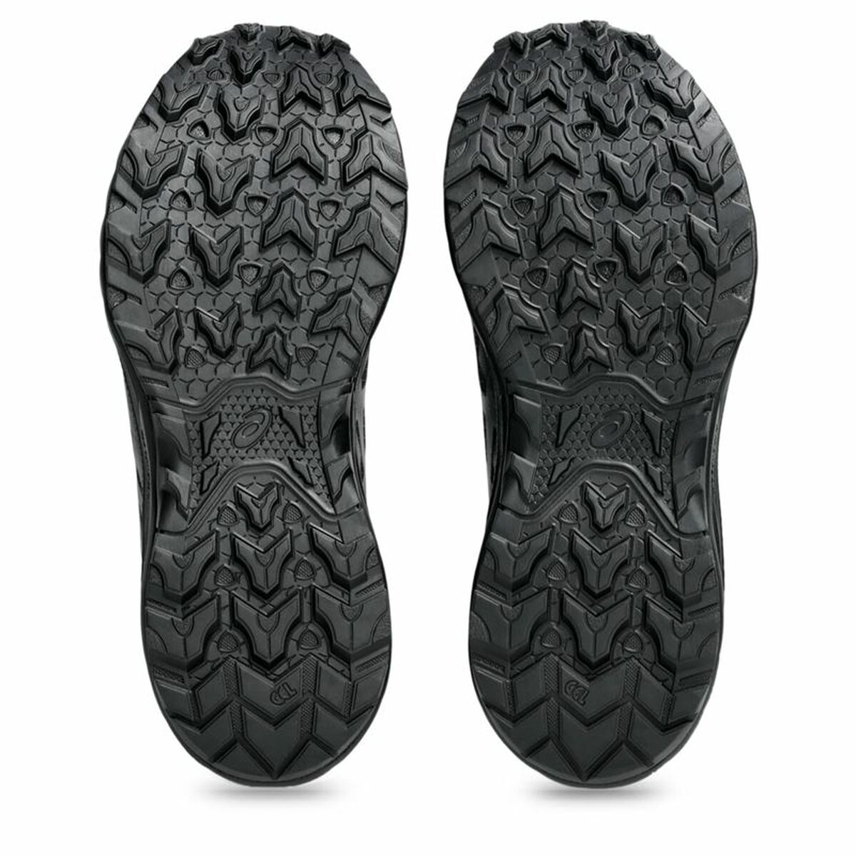 Sports Trainers for Women Asics Gel-Venture 10 Black