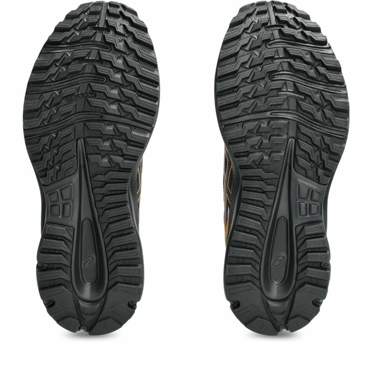Sports Trainers for Women Asics Trail Scout 3 Black