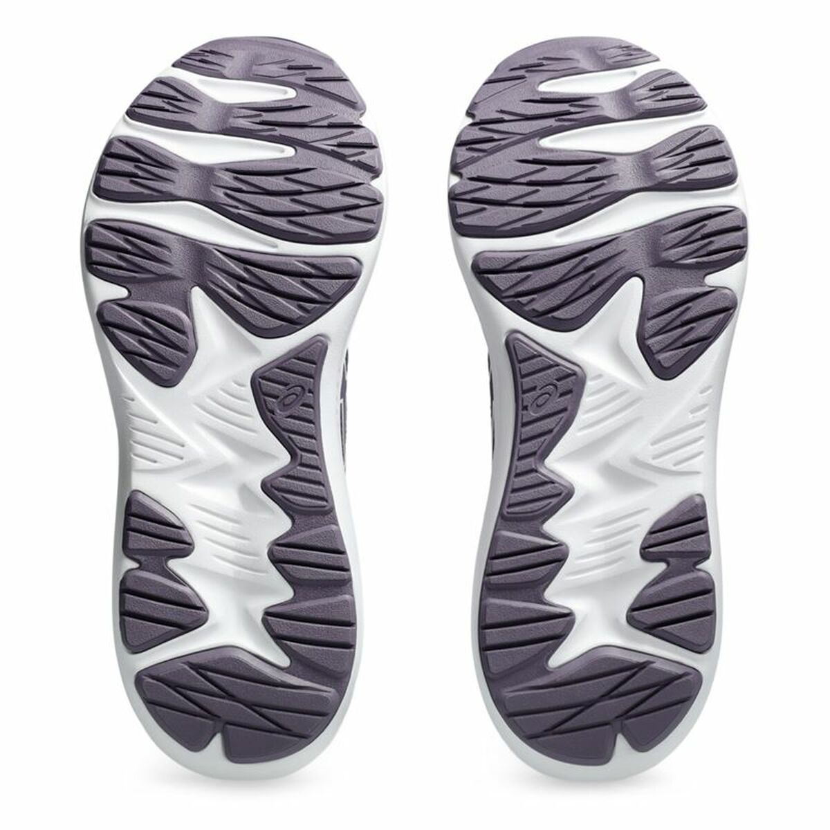 Running Shoes for Adults Asics Jolt 5 Purple