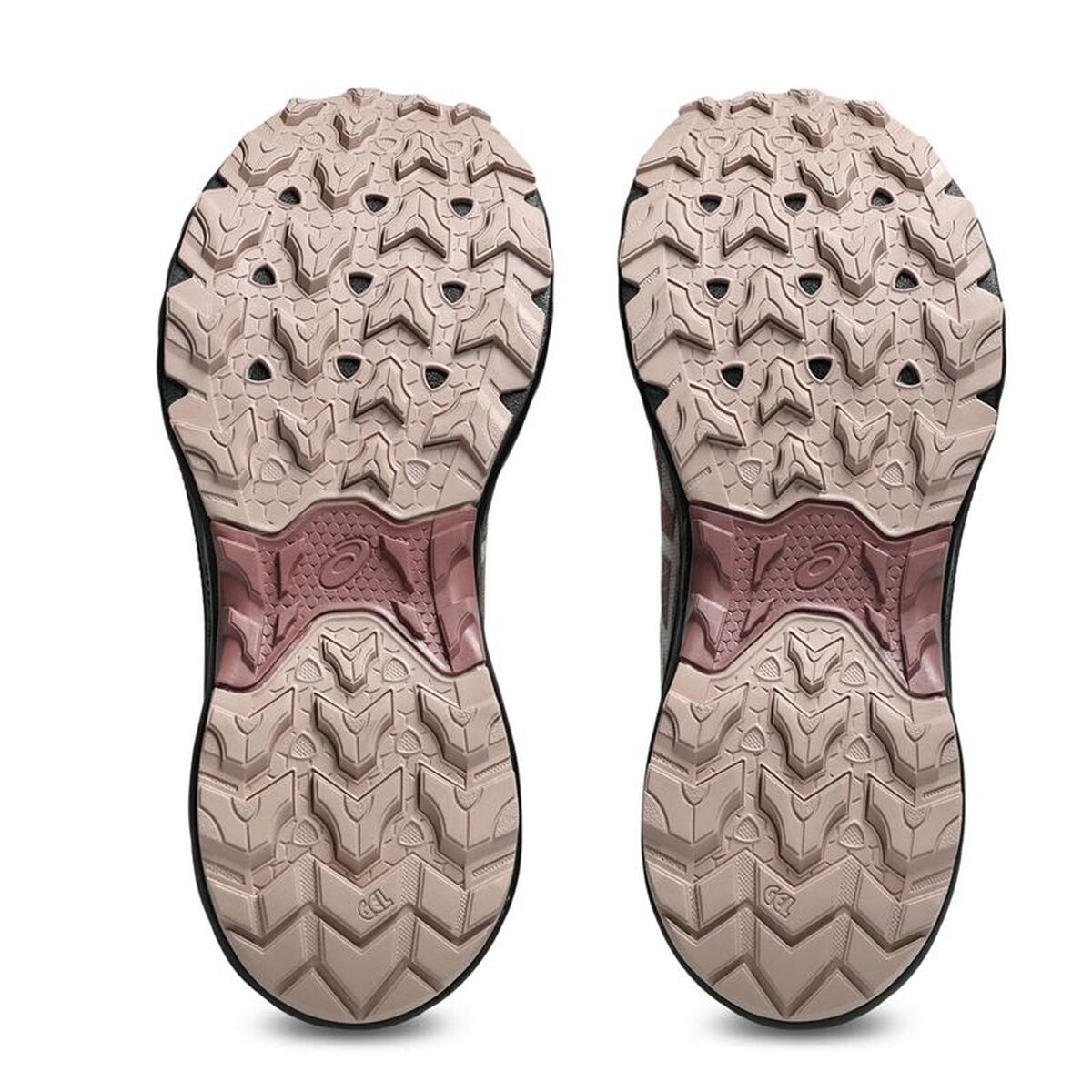 Trail running shoes for women Asics Gel-Venture 10 Brown