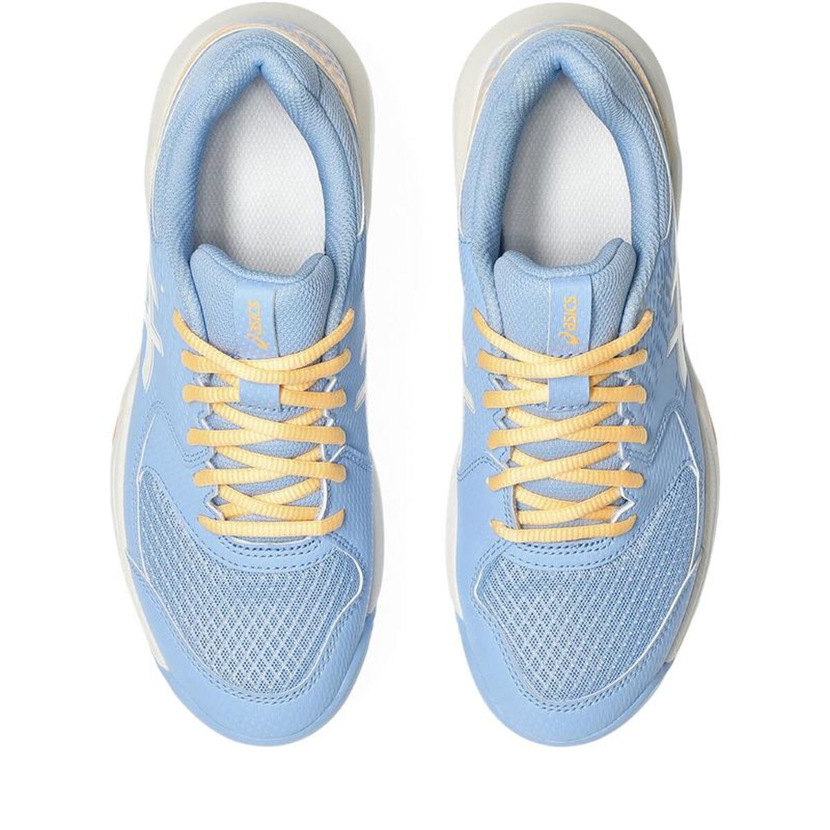 Adult’s Padel Trainers Asics Gel-Dedicate 8 Light Blue