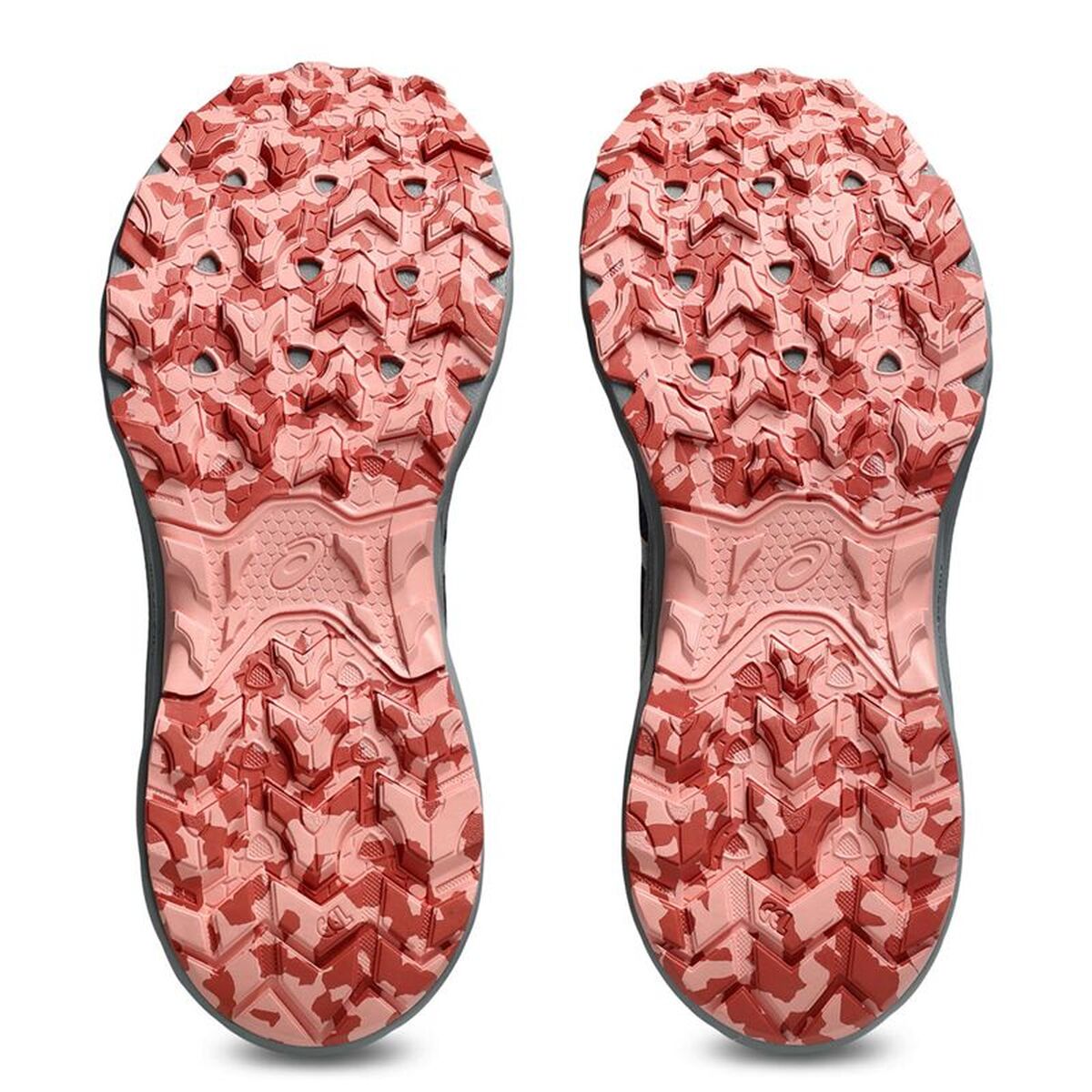 Trail running shoes for women Asics Gel-Venture 10 Blue