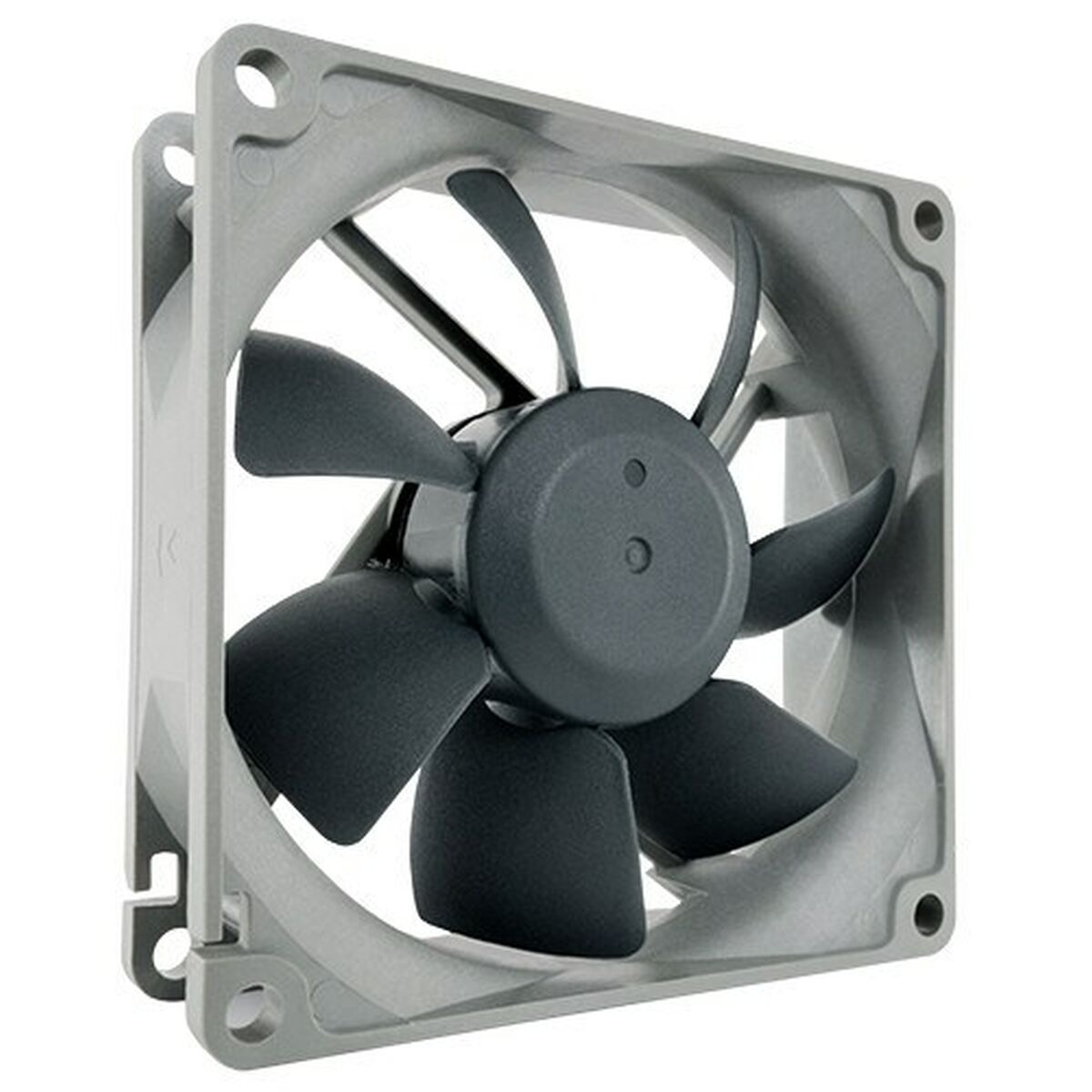 Box Ventilator Noctua NF-R8 redux-1800 PWM  8 cm