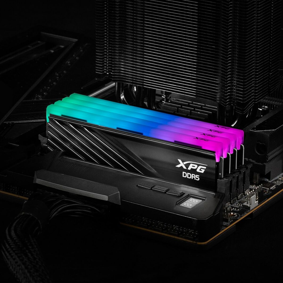 RAM Memory Adata AX5U6000C3016G-DTLABRBK 32 GB DDR5 6000 MHz cl30