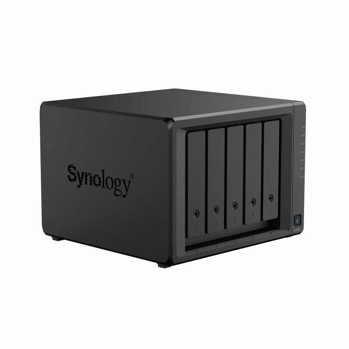 NAS Network Storage Synology DX525