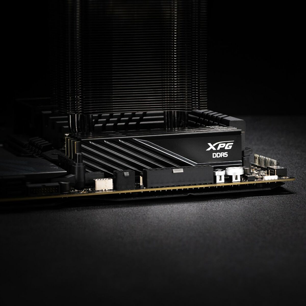 RAM Memory Adata AX5U6000C3616G-DTLABBK